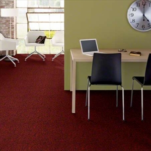 Multiplicity Tile